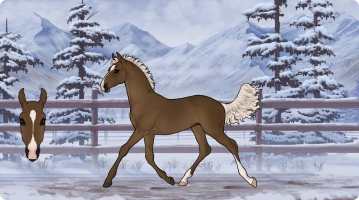 Thumbnail for 2795 Dakota