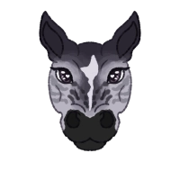 Thumbnail for 12415 Icy Night Skies