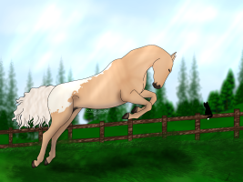 Thumbnail image for 3450 CLH Running into the Sun