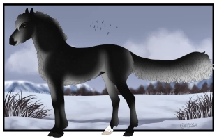 Thumbnail for 4731 Black Dog