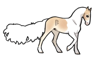 Thumbnail for 10055 JSS Shy Moscato