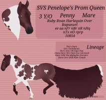 Thumbnail for 10854 SVS Penelope's Prom Queen
