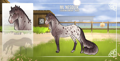 Thumbnail for 12093 ML Nesquik