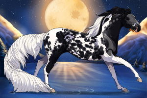 Thumbnail for 12003 Insomnia