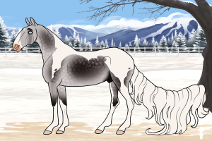 Thumbnail for 7503 Lakeside's Old Fashioned