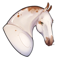 Thumbnail image for 12526 Misri