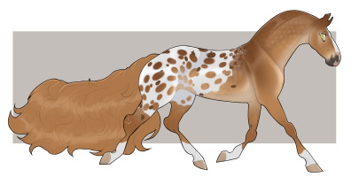 Thumbnail for 9855 Cider