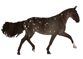 Thumbnail for 11463 Odori Toki