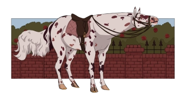 10459 Macchiare Thumbnail