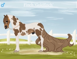 Thumbnail of 10319 Goldfinch