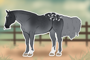 Thumbnail for 9368 OSR Our Blue Rose