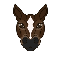 Thumbnail image for 6517 Winterland Spruce