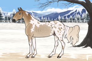 Thumbnail for 10716 Lakeside's Sun Spots