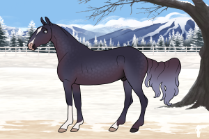 Thumbnail for 10849 Lakeside's Blue Hour