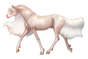 Thumbnail for 12254 WH Winter Solace