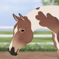 Thumbnail of 12392 SP Macchiato