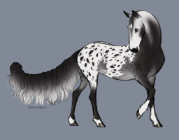 Thumbnail for 12070 Over The Peacefield