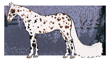 Thumbnail for 1837 OSR Now You See Me