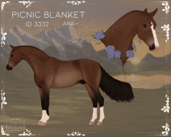 Thumbnail for 3332 Picnic Blanket