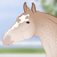 Thumbnail for 6103 SP Royal Heist