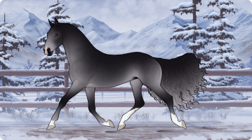 Thumbnail image for 11258 BCS Black Veil