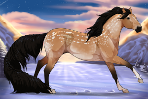 Thumbnail for 11468 Takoda