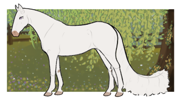 Thumbnail for 3902 OSR The Last Wish