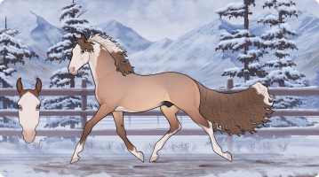 Thumbnail for 12762 CS Mochaccino