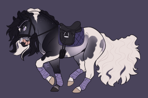 Thumbnail for 12597 CS Evanescence