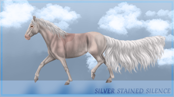 Thumbnail for 12745 Silver Stained Silence