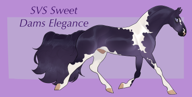 Thumbnail for 11899 SVS Sweet Dams Elegance