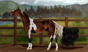 Thumbnail for 12713 Dirty Knees