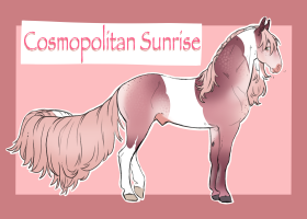 9905 Cosmopolitan Sunrise Thumbnail