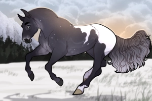 Thumbnail image for 12191 TWS Winter in Texas