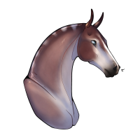 Thumbnail for 9775 Tibia