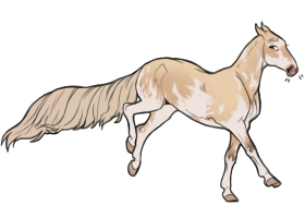 Thumbnail for 12596 Butterscotch Crème