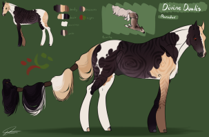 Thumbnail for 12685 Divine Dualis