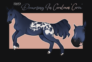 Thumbnail image for 12037 Dreaming in Cerulean