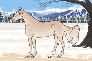 Thumbnail of 11762 Lakeside's The Duke