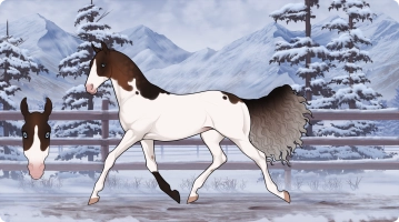 Thumbnail image for 5880 Larkspur and Wine
