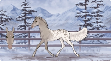 Thumbnail image for 2801 PF Cadenza