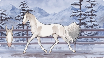 Thumbnail for 2855 Aid's Tutti Frutti