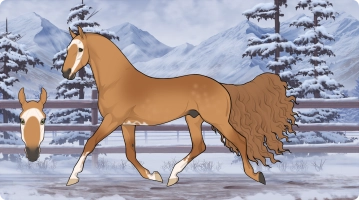 Thumbnail for 2900 SMA's Sprinkle of Ginger