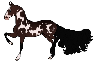 Thumbnail for 5823 Dogtooth