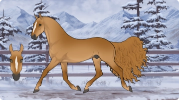 Thumbnail for 5693 SPCS Gingersnap