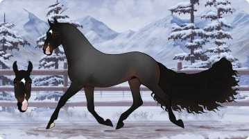 Thumbnail for 5525 JSS Shades of Amethyst