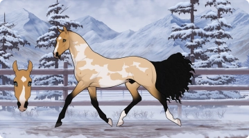 Thumbnail for 3410 FHR's Spirits Path (Dakota)