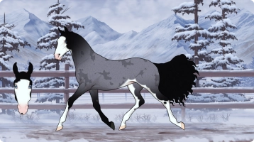 Thumbnail for 3440 NLR Blue Ridge Baroness