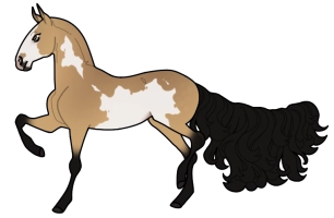 Thumbnail for 3466 JSS Whiskey Lullaby