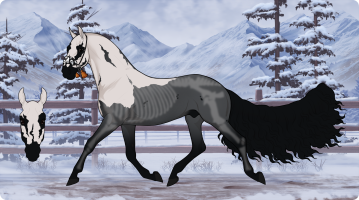 Thumbnail for 3515 CMA Fake Your Death